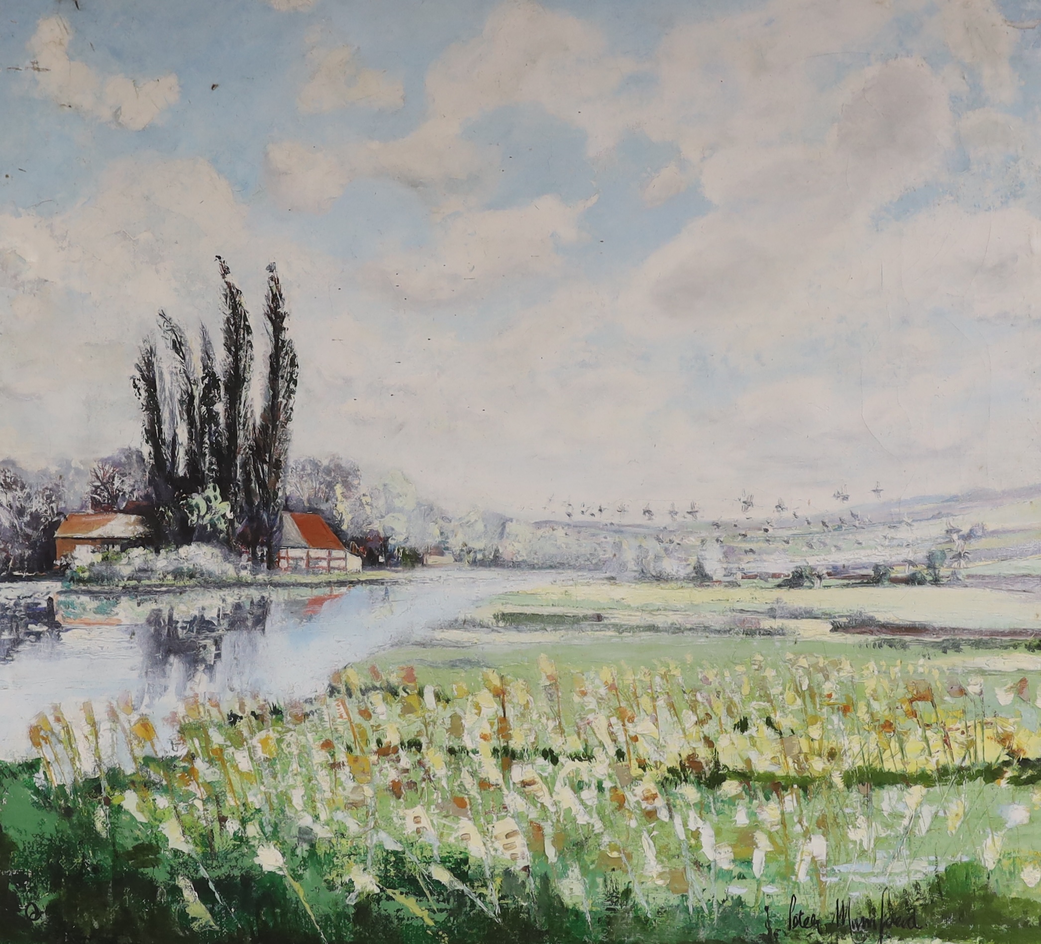 Peter Mumford, oil on canvas, River landscape, signed, 50 x 55cm